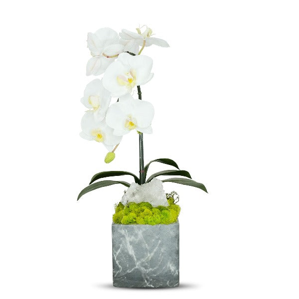 Single Orchid/Faux Grey Marble Container - White w/Quartz