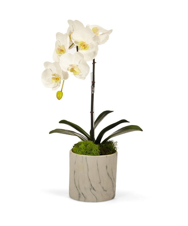 Single Orchid/Faux White Marble Container - White